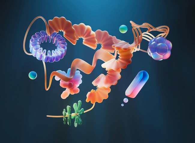 La Cardiologia sotto la lente della Medicina Genere-Specifica. Pillole di novità. Rimini, 15/03/2025